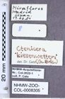 Etiketten zu Ctenicera kiesenwetteri (Brisout, 1866) (NHMW-ZOO-COL-0008305)
